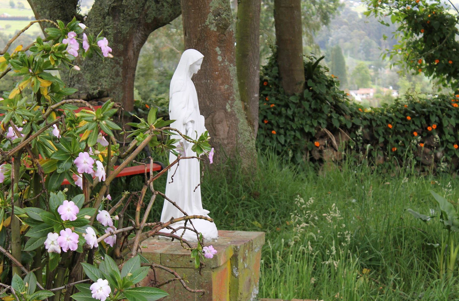 Dla tych co przybywają po zdrowie… Dla tych co przybywają po zdrowie Stefan Czerniecki