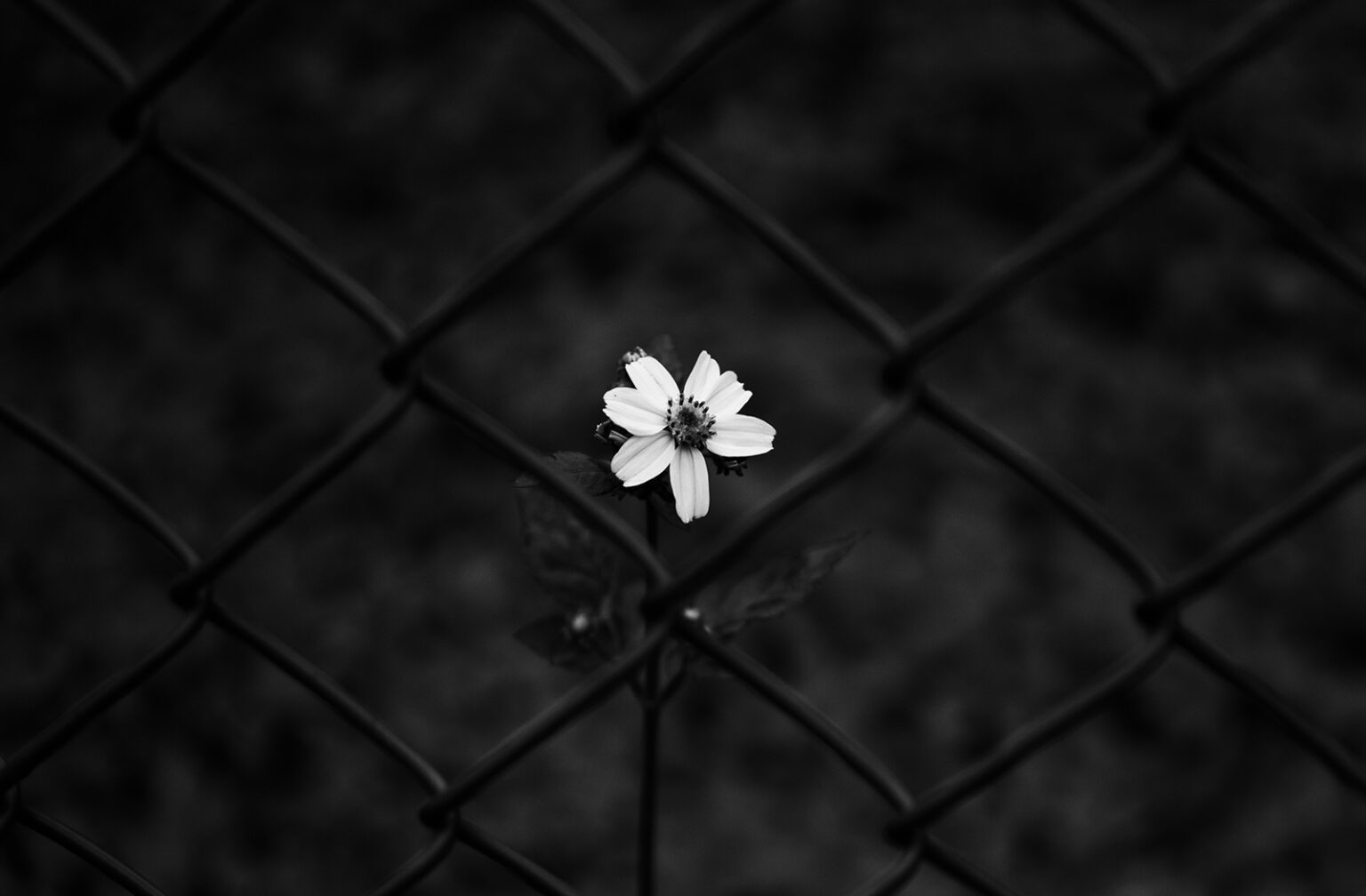 Nieświęty „święty spokój”