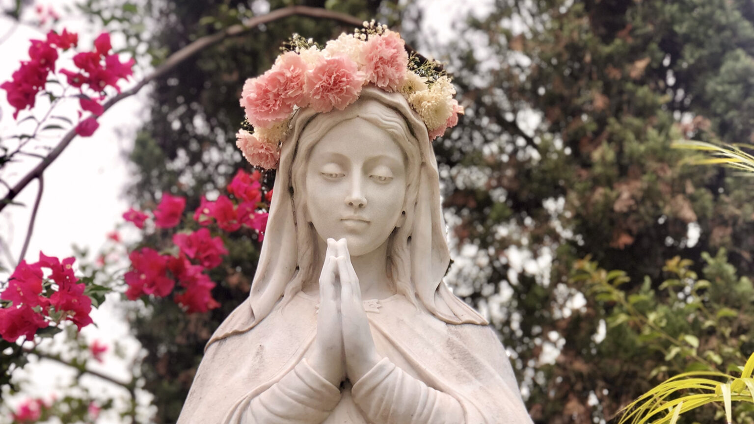 Śpiewamy tu majówki