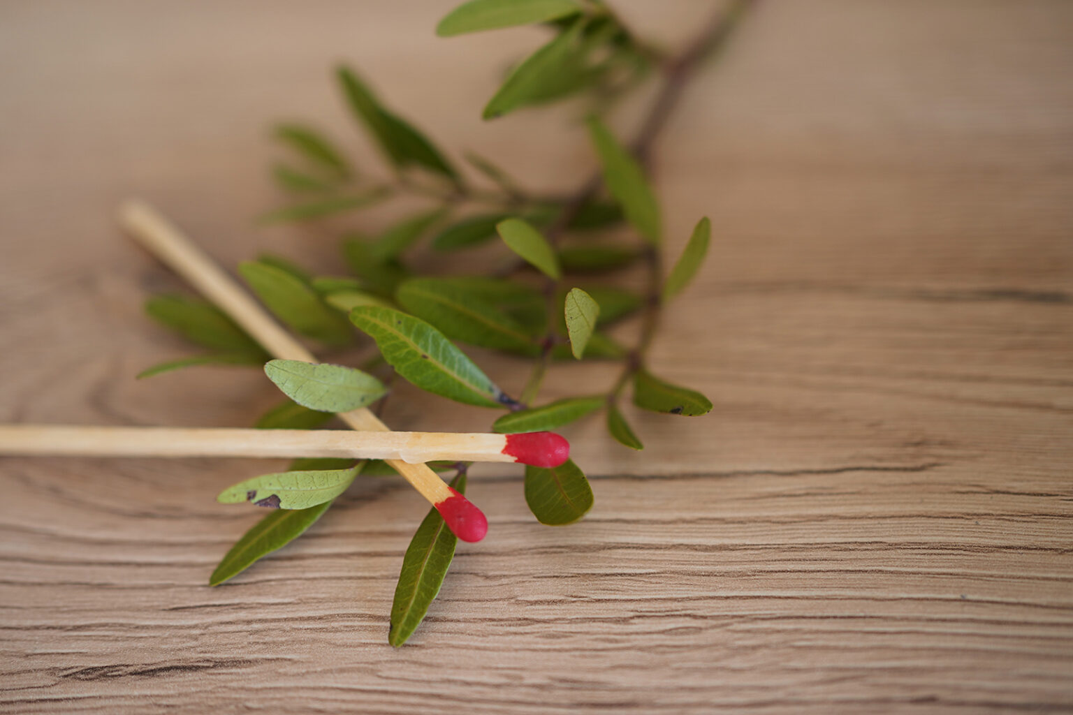 Zapalić Boże sprawy