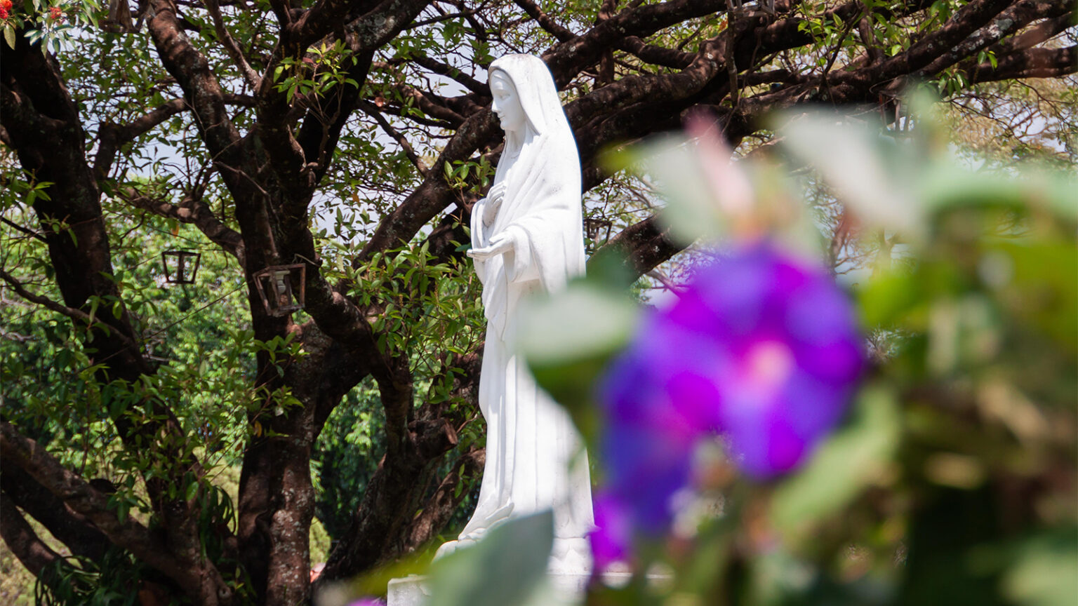 Peregrynacja Matki Bożej Fatimskiej - Tarnów, Rzeszów, Przemyśl