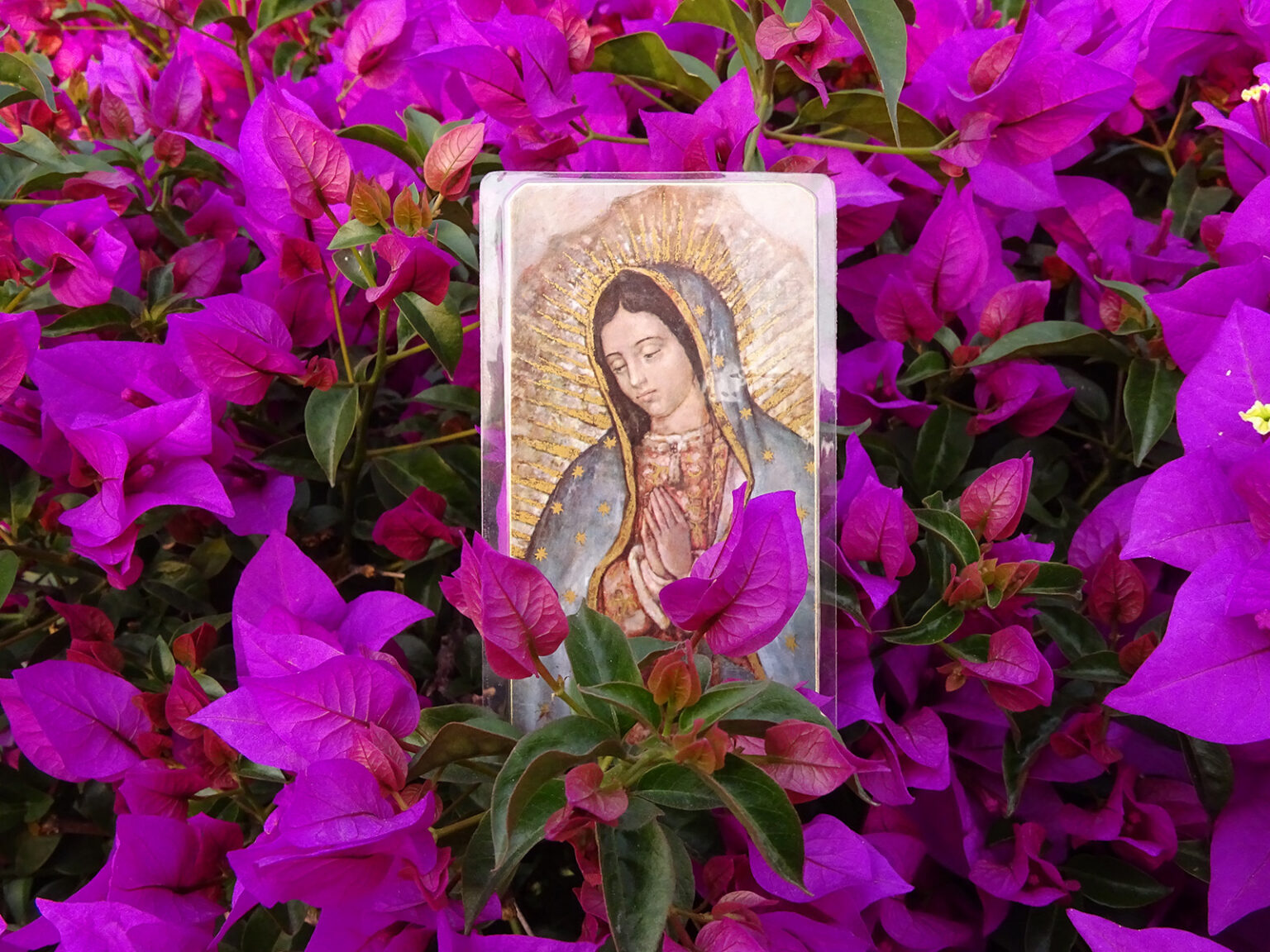 Zaufaj bez reszty Maryi Zaufaj bez reszty Maryi