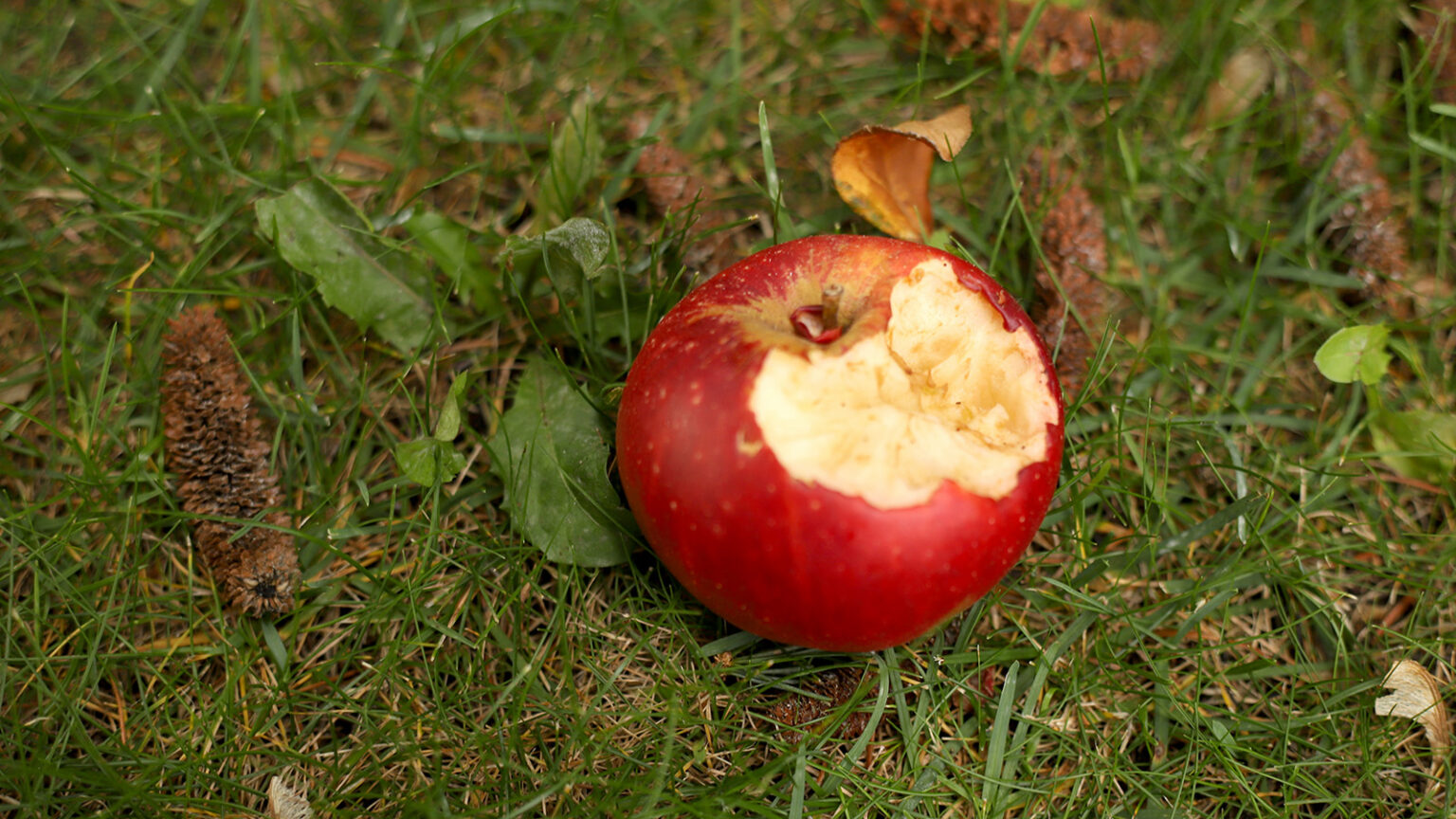 Szatan, pokusa i grzech