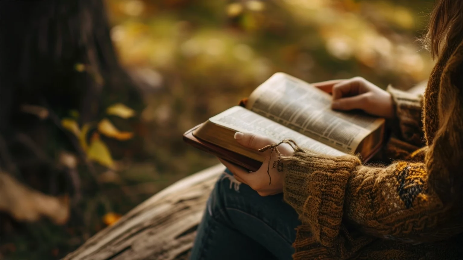 Zasłuchani w słowo Boże Listopad 2024 r.