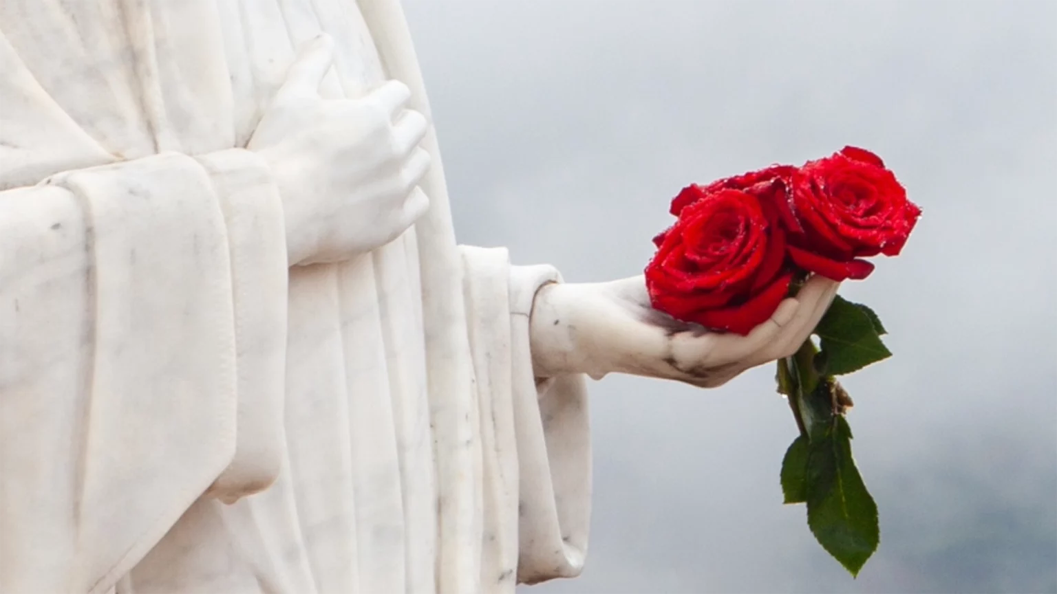 Trzy róże i trzy miecze Trzy róże i trzy miecze