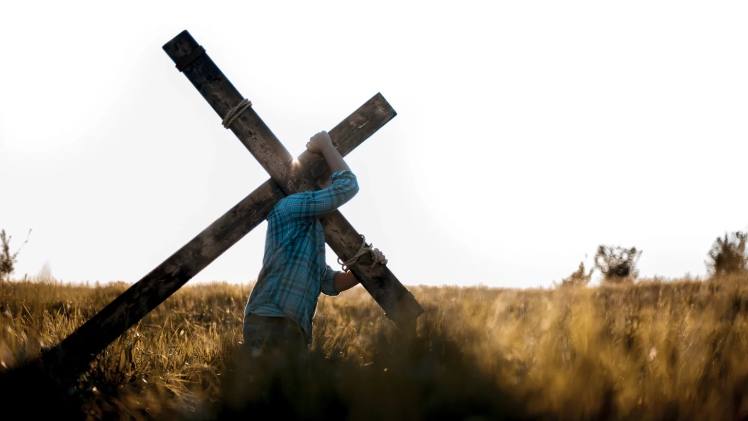 Na krętych ścieżkach