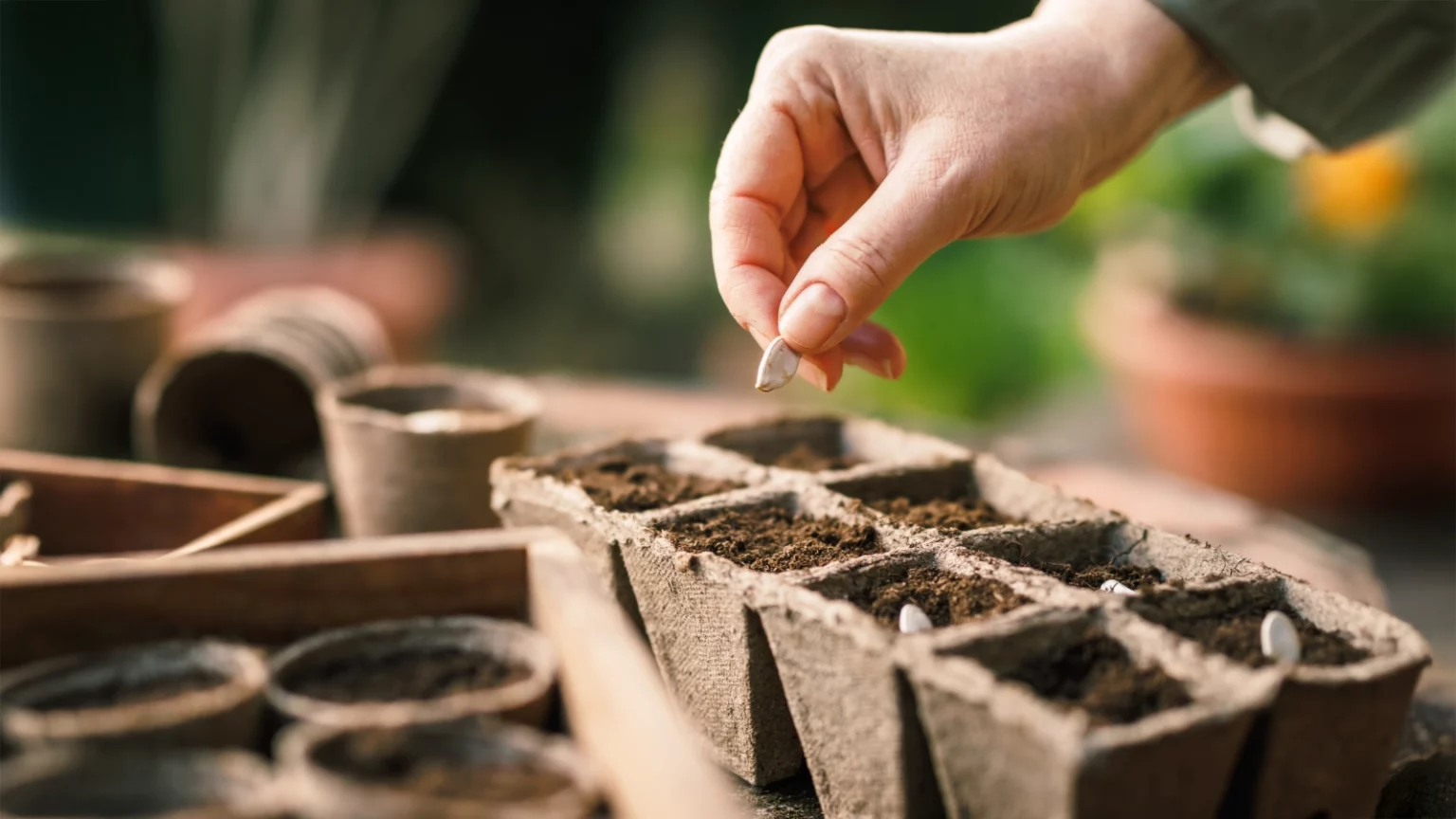 Boża cierpliwość Boża cierpliwość