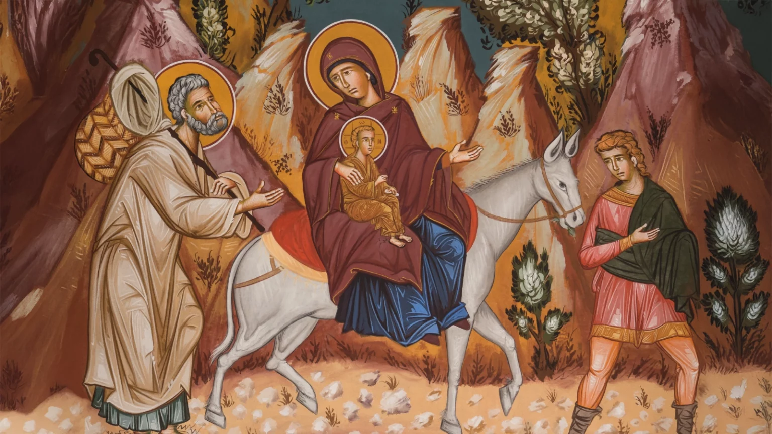 Palma cierpliwości Palma cierpliwości