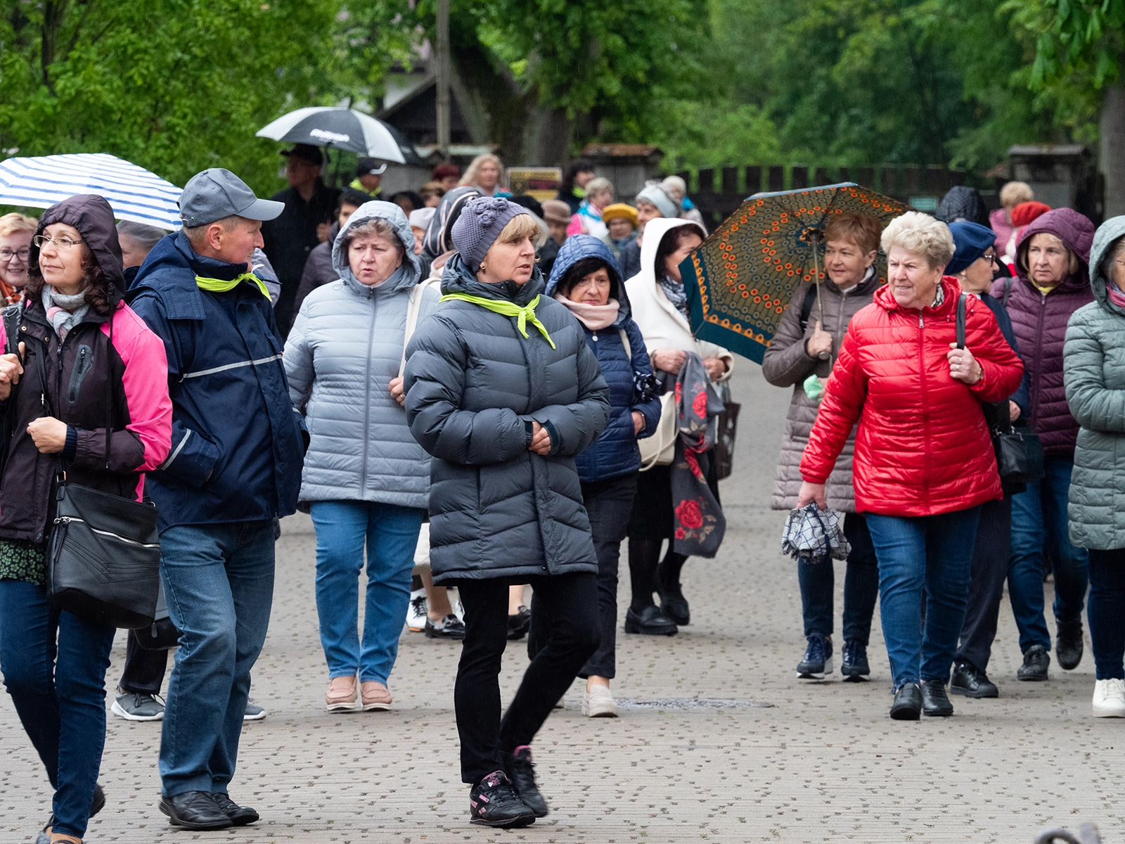XVI Pielgrzymka Czytelników „Różańca” i Rodziny Loretańskiej do Loretto 2025 r. fot. Mateusz Kuca