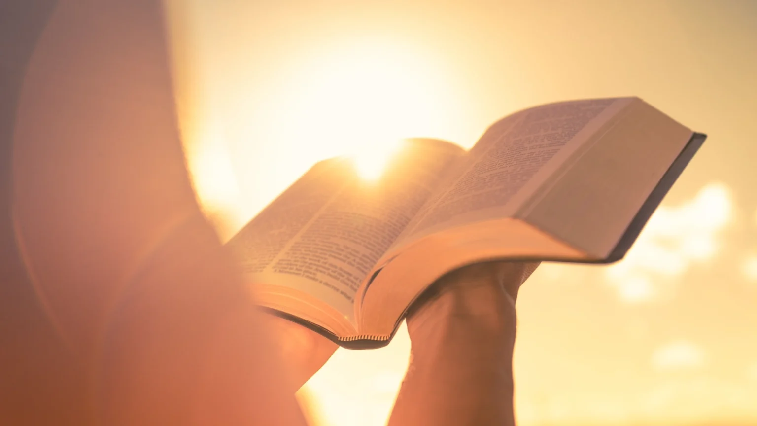 Zasłuchani w Słowo Boże Sierpień 2025 r. Zasłuchani w Słowo Boże Sierpień 2025 r.