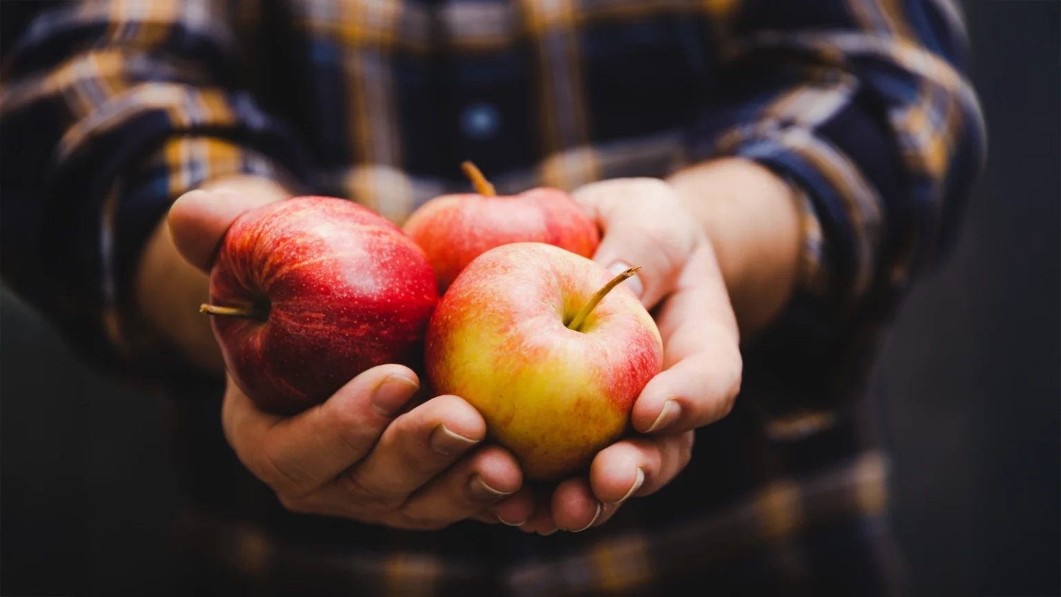 Ciche pokusy Ciche pokusy