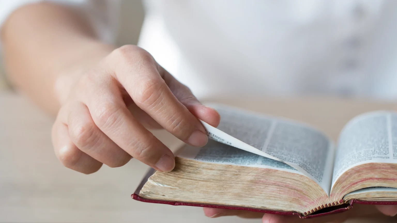 Zasłuchani w Słowo Boże Grudzień 2025 r.