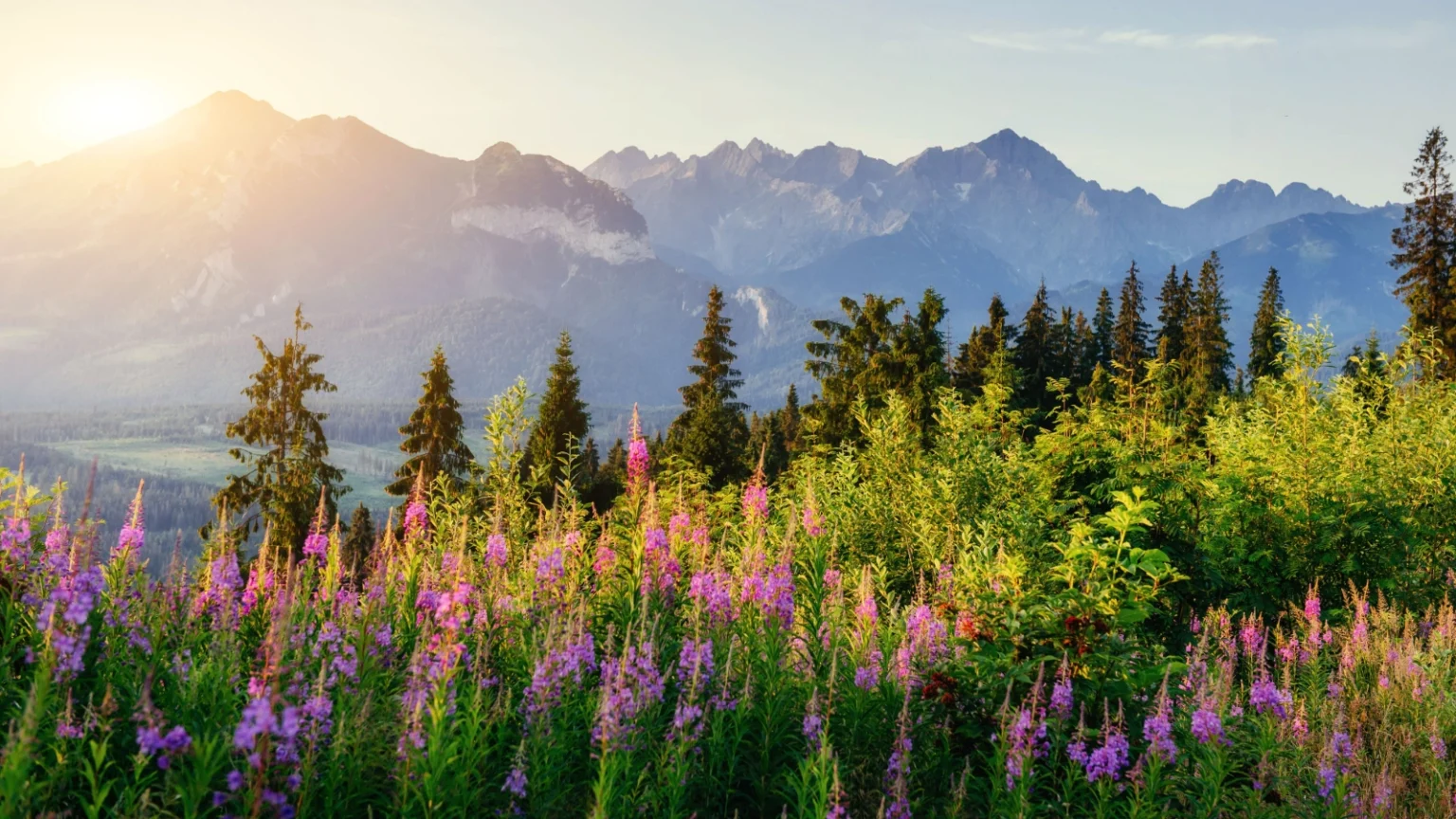 Postrzegać jak Bóg